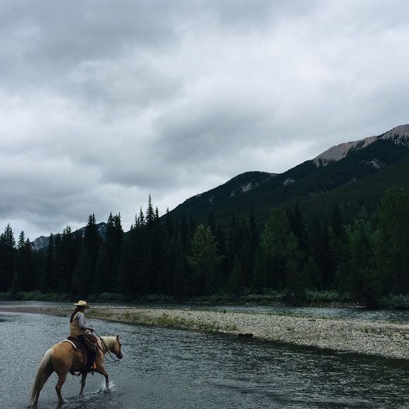 Meet your Posher, Alexis - Picture 1 of 1